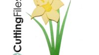 PP DaffodilDays