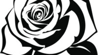 clipart rose stencil 7