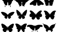 black butterfly icons or silhouettes set vector