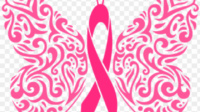 filigree awareness butterfly cancer ribbon svg dxf breast cancer svg free 11563059767aqn1sea5we