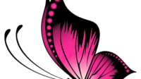 pink butterfly png file