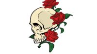 skull roses vector