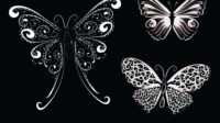 white lace butterfly vector 279864