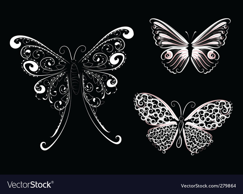 white lace butterfly vector 279864