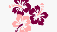 117 1174521 hibiscus svg clip arts transparent background hawaiian flower