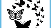 Butterfly svg 55