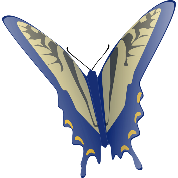 butterfly jonathan dietr 01