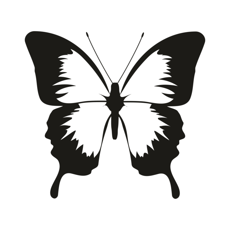 butterfly silhouette vector 2