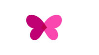 vector butterfly conceptual simple colorful logo