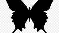 485 4857485 butterfly clipart black and white silhouette butterfly vector
