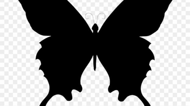 485 4857485 butterfly clipart black and white silhouette butterfly vector