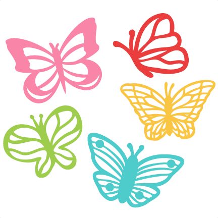 8d1615b9ea1490e2863d60e273737f7e cricut butterflies butterfly cricut