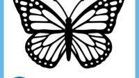 butterfly SVG 2 1
