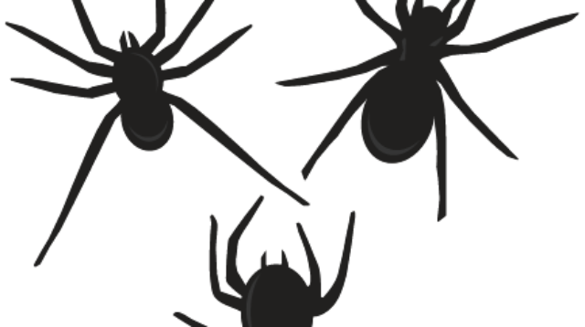 large spider set3