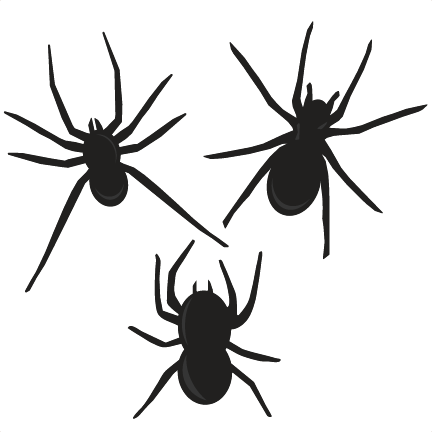 large spider set3