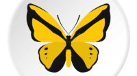 yellow butterfly icon flat style illustration vector web design 78762141