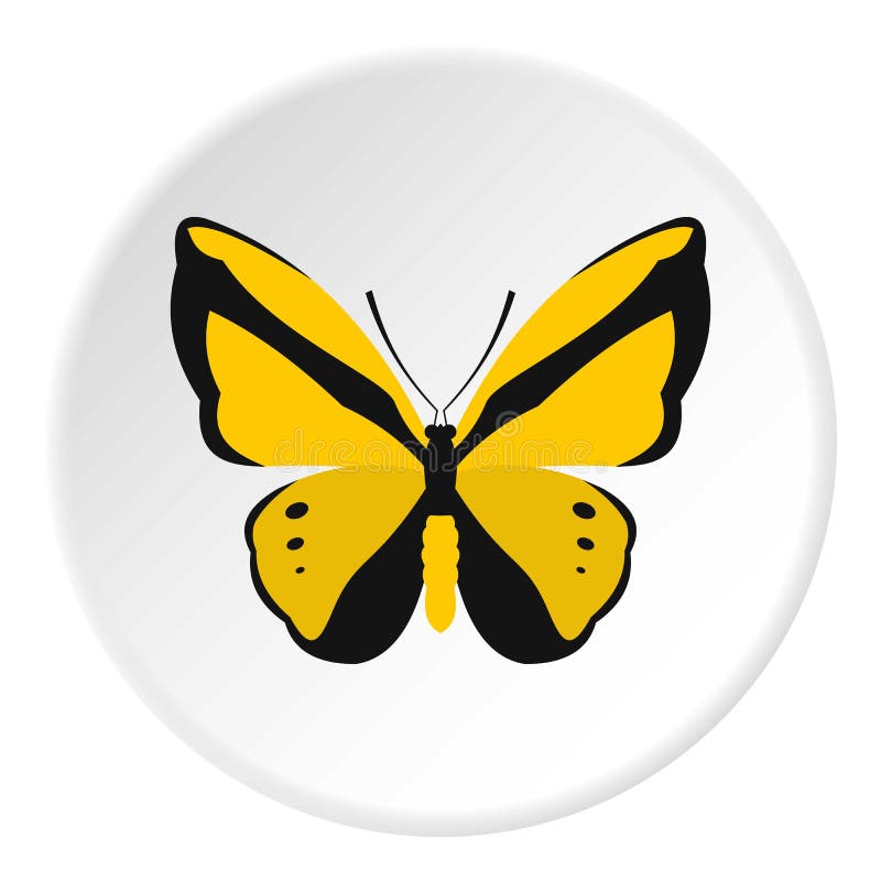 yellow butterfly icon flat style illustration vector web design 78762141