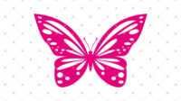 Butterfly Geek 1024x1024