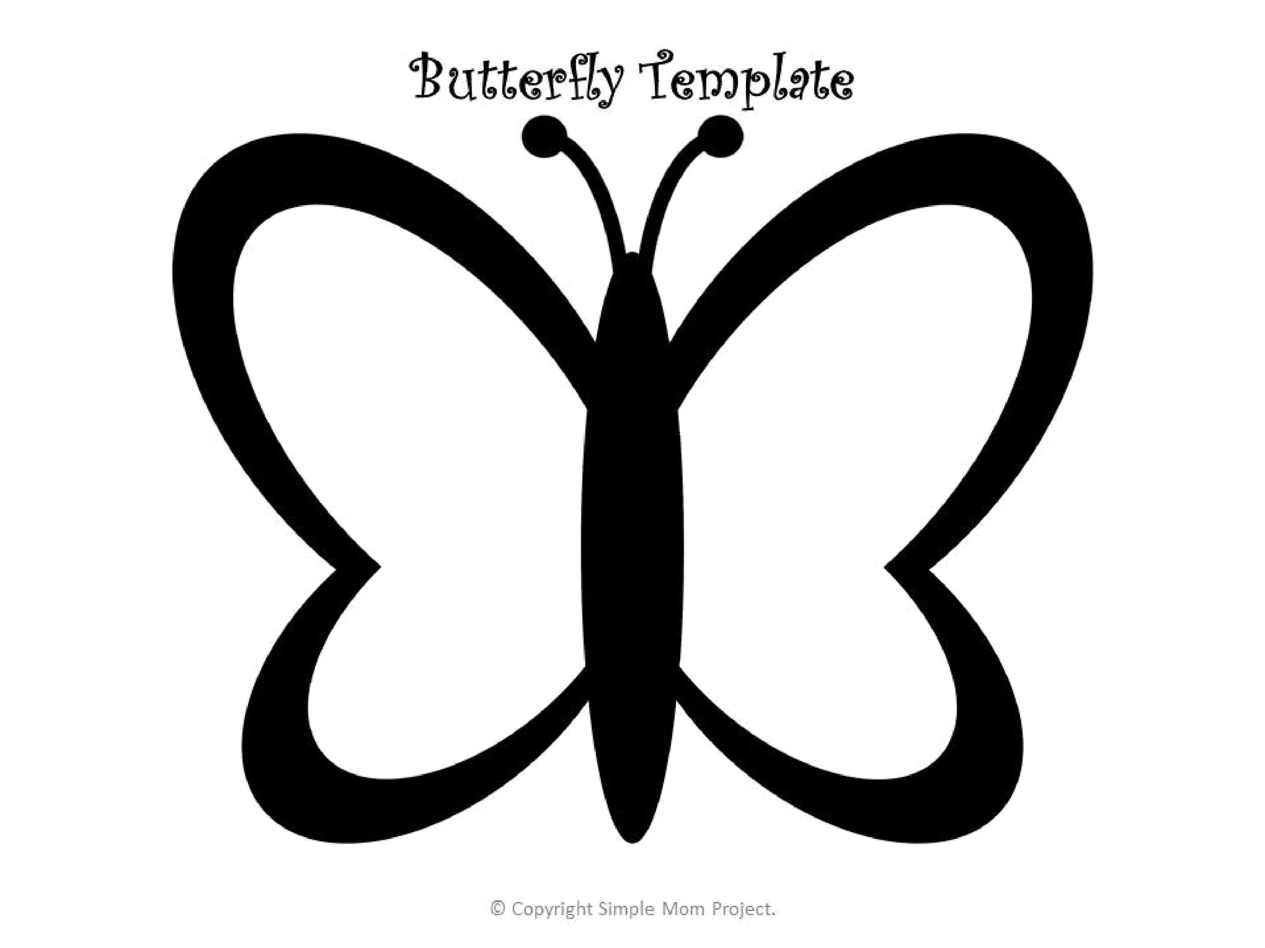 butterfly template 16