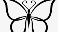 butterfly outline png 7