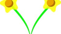 daffodil svg 9
